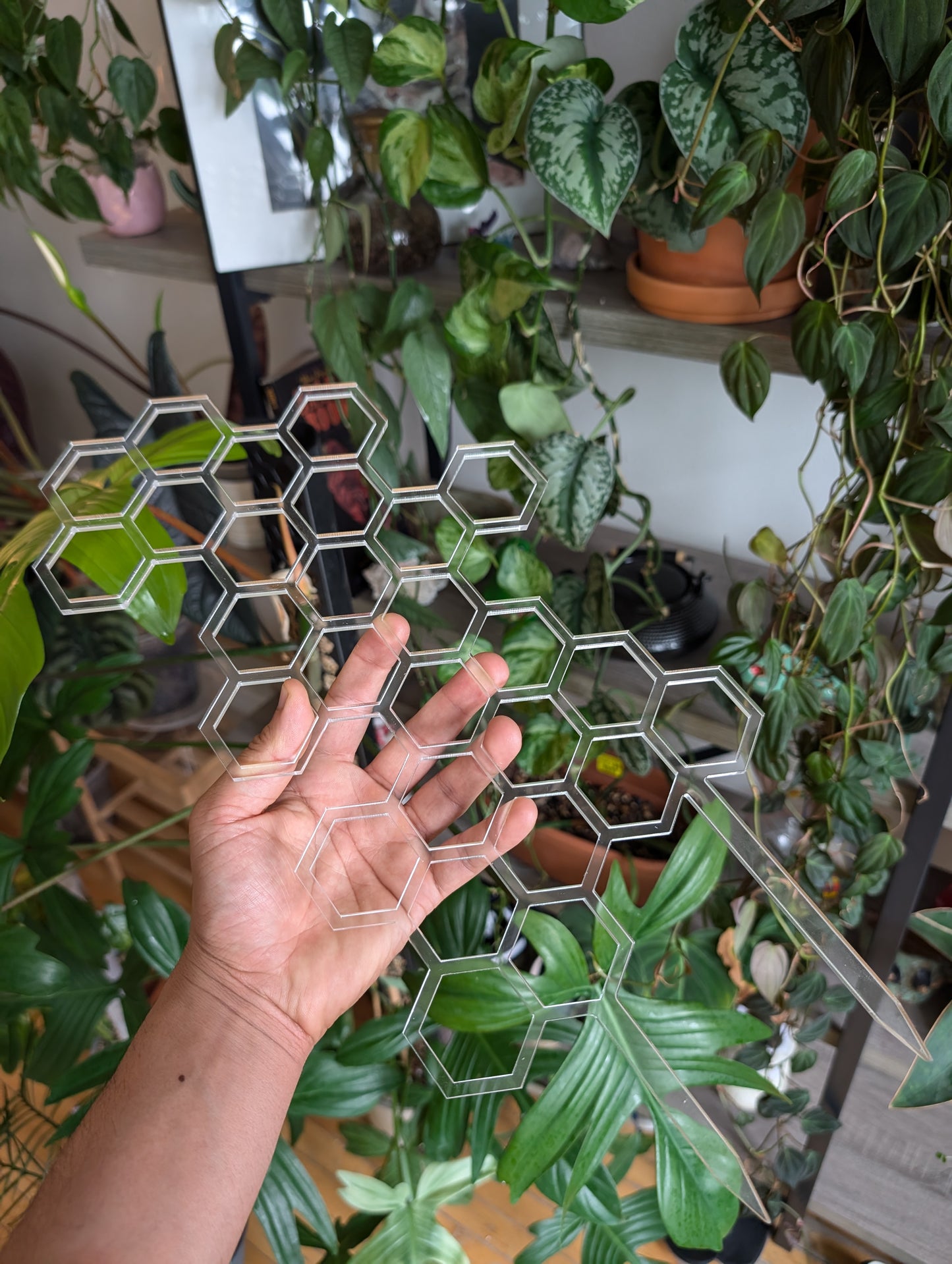 Potted plant with vibrant green leaves