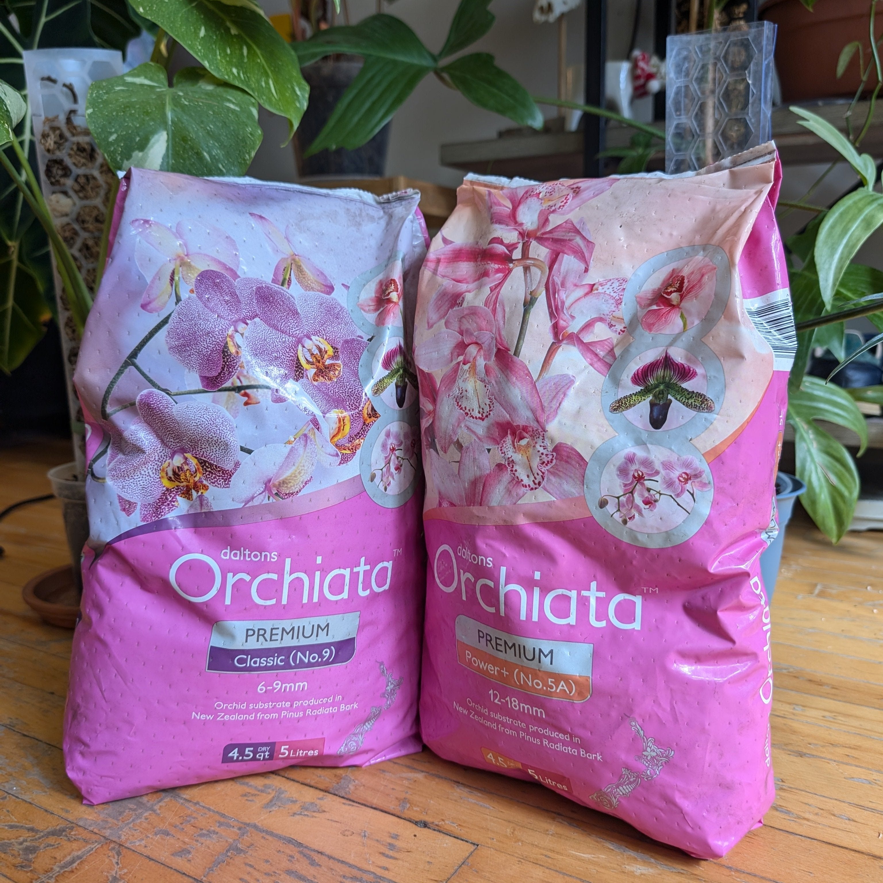 orchiata potting mix Shop Besgrow Orchiata Premium NZ Orchid Bark – Houseplant Essentials