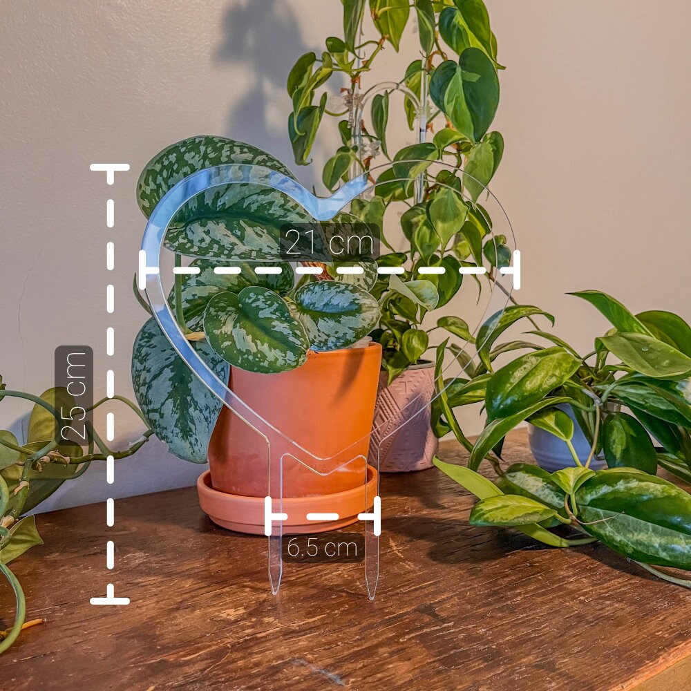 Heart Shape Super Clear Trellis , Hoya Trellis, Indoor Plant Trellis, Houseplant Trellis, Plant Gift, Plant Support and Growth