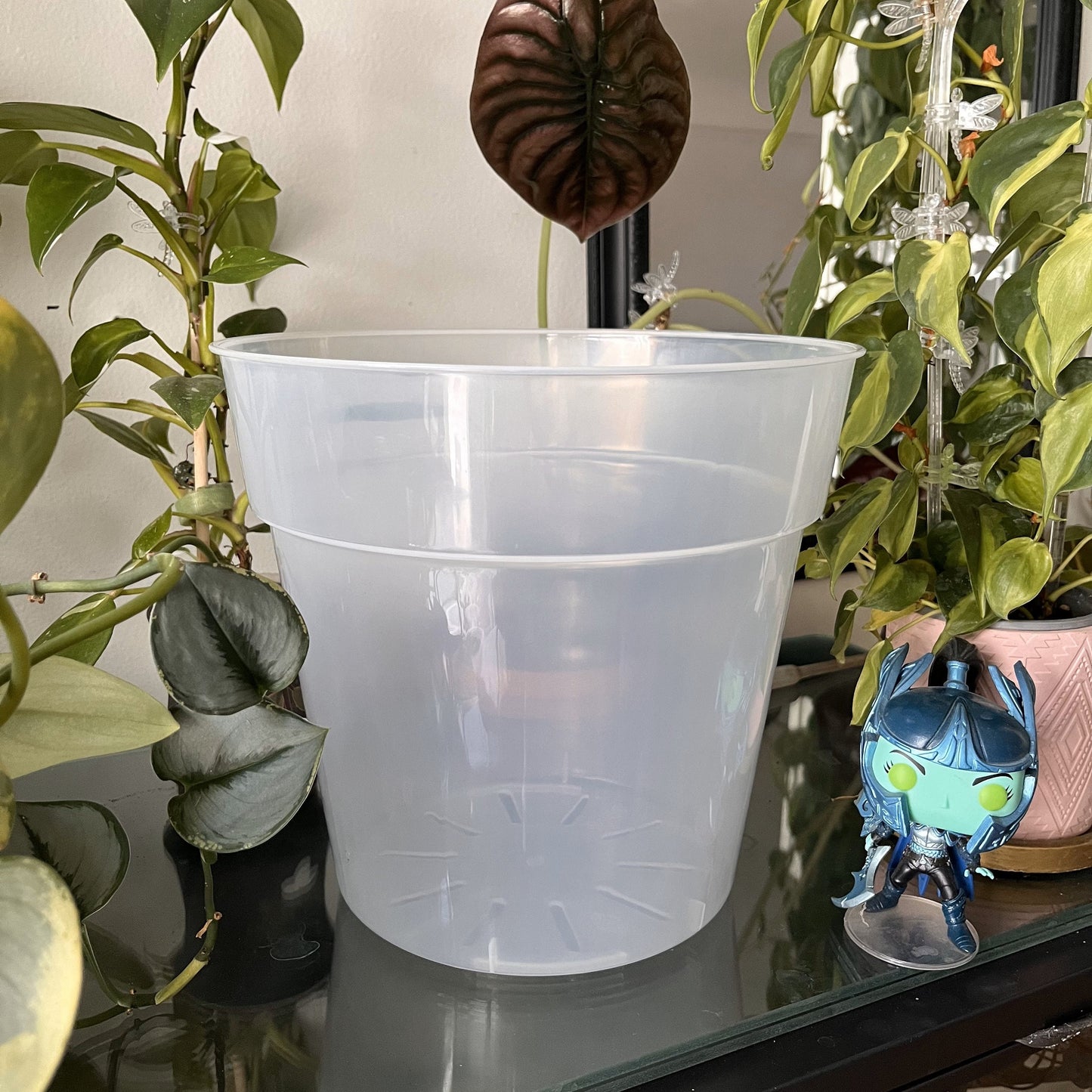 Jumbo Clear Plastic Plant Pots for ,Houseplants, Aroids, Hoyas, Monstera 10 Inch/25 CM, Jumbo Pot, Clear Planter with drainage.