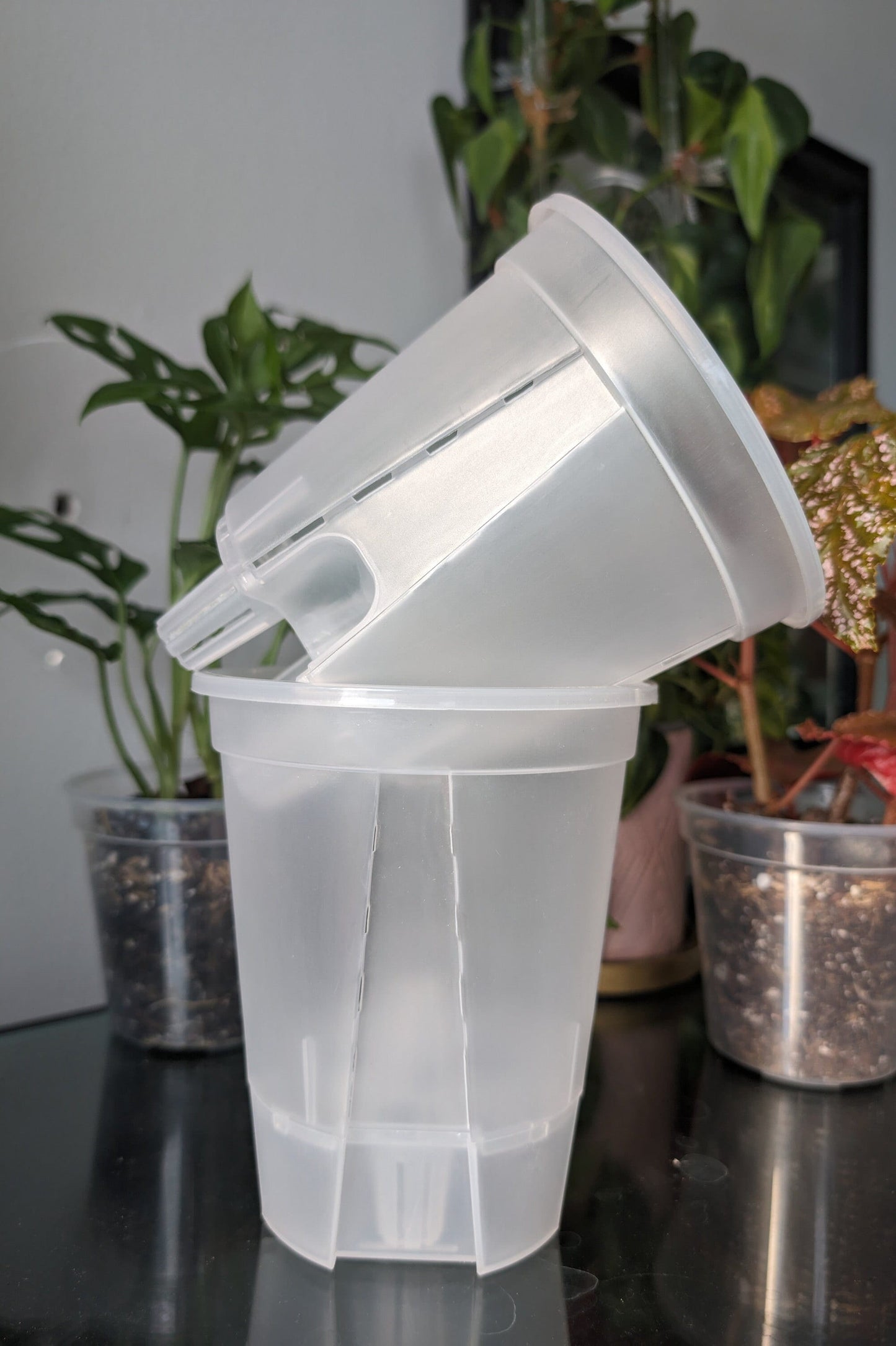 Clear Plastic Self Watering Plant Pots five pack for ,Houseplants, Aroids, Hoyas, Monstera, Multiple sizes, Hydroponic Pots, Anthurium Pot