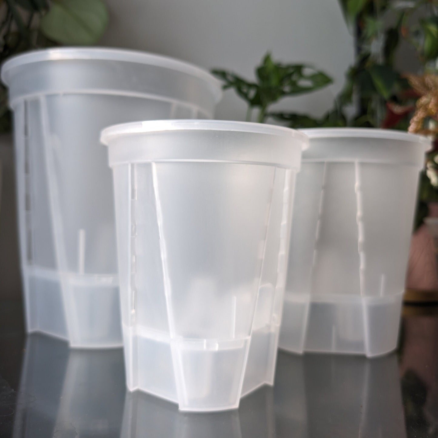 Clear Plastic Self Watering Plant Pots five pack for ,Houseplants, Aroids, Hoyas, Monstera, Multiple sizes, Hydroponic Pots, Anthurium Pot