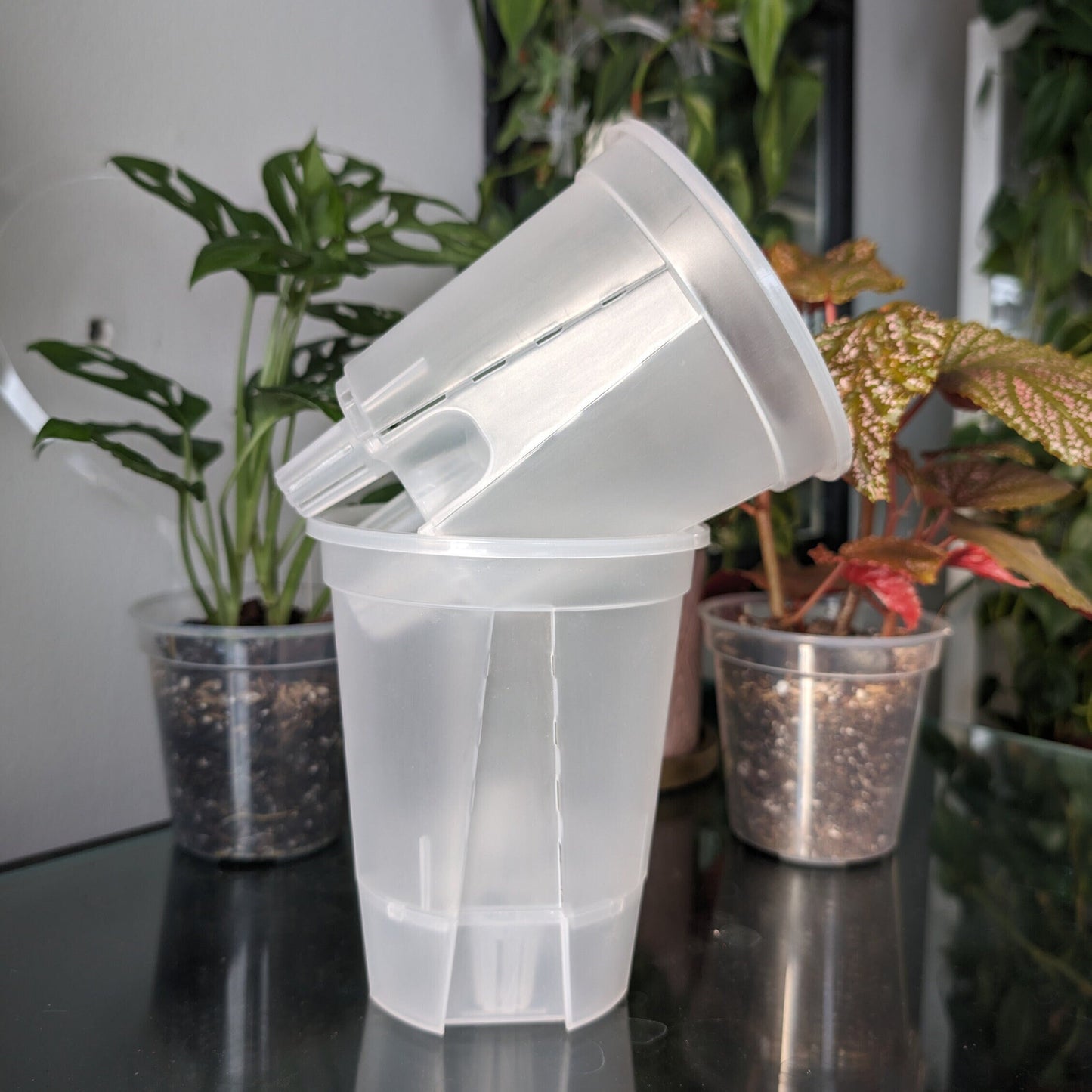 Clear Plastic Self Watering Plant Pots five pack for ,Houseplants, Aroids, Hoyas, Monstera, Multiple sizes, Hydroponic Pots, Anthurium Pot