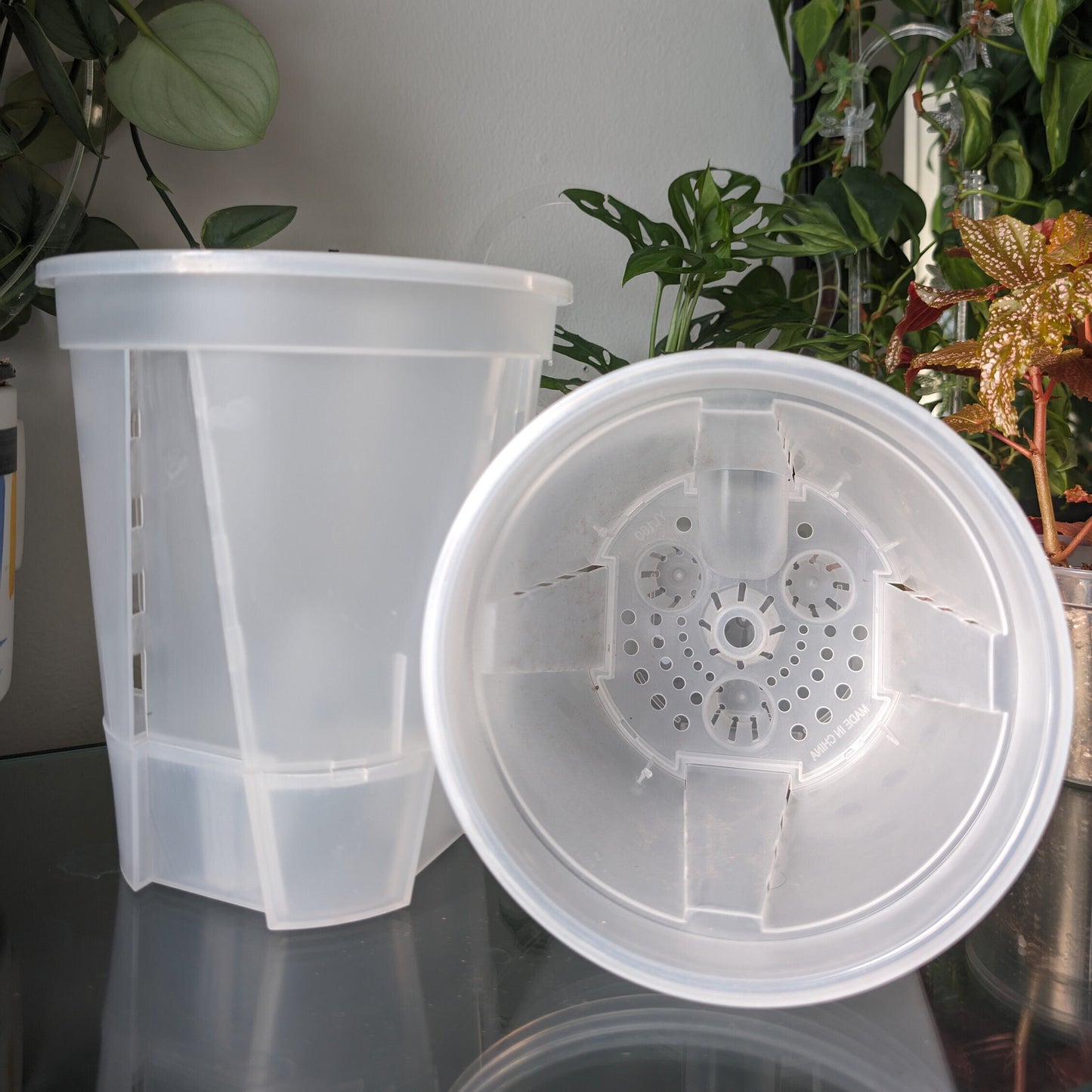 Clear Plastic Self Watering Plant Pots five pack for ,Houseplants, Aroids, Hoyas, Monstera, Multiple sizes, Hydroponic Pots, Anthurium Pot