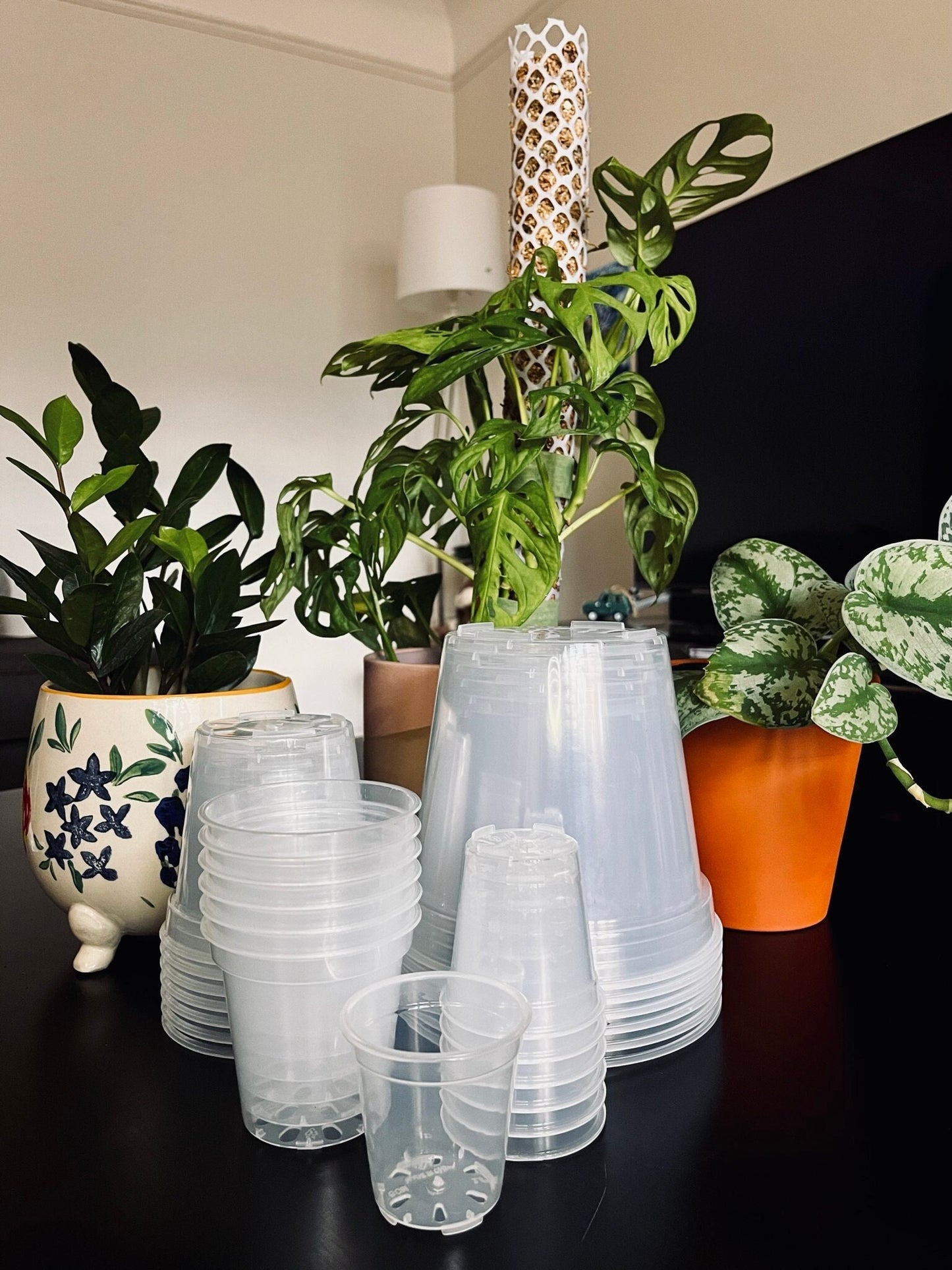 Decorative plant pot with artistic details