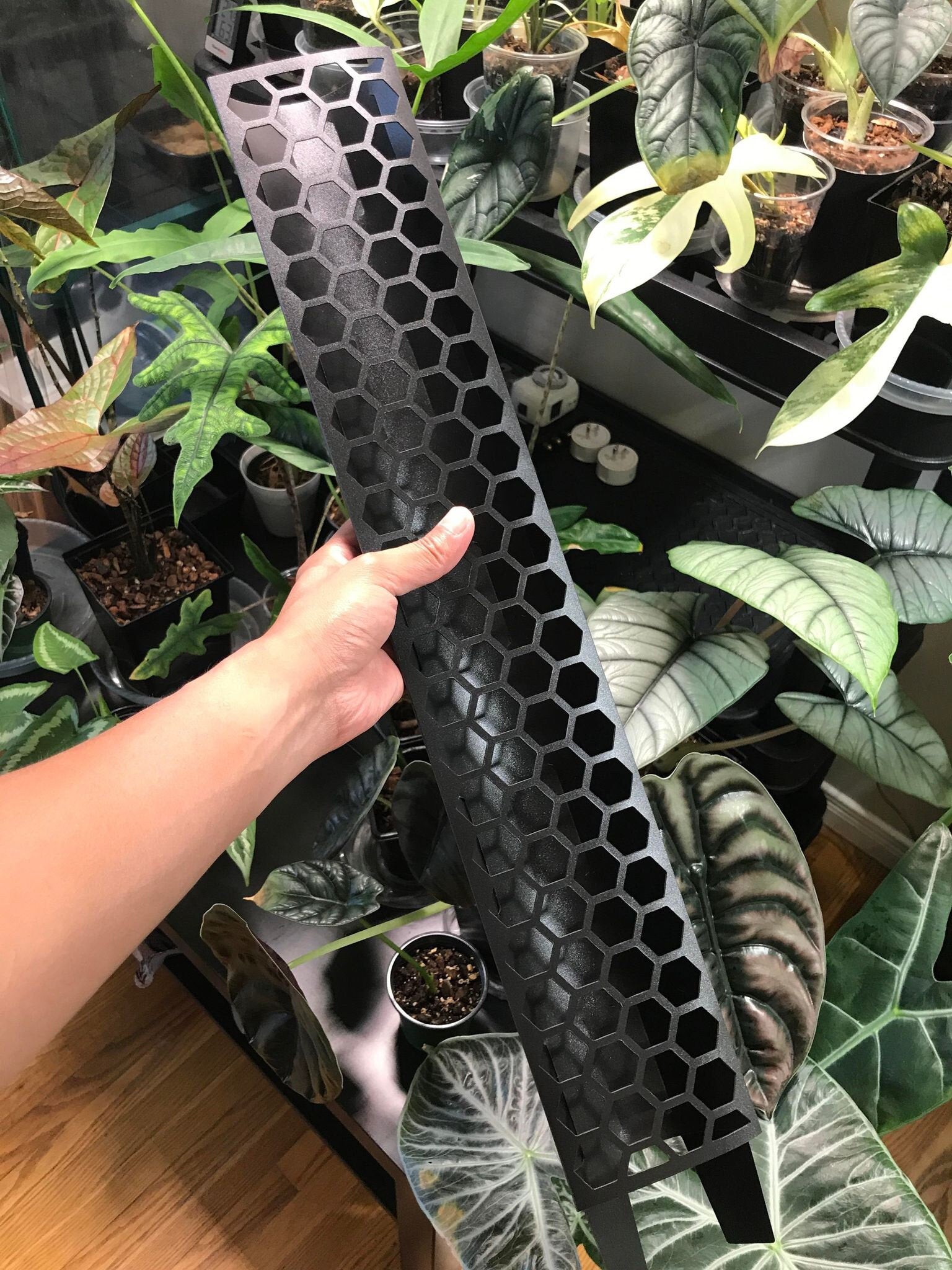 moss pole canada D-Shaped Black Stackable Moss Pole for Plants – Houseplant Essentials