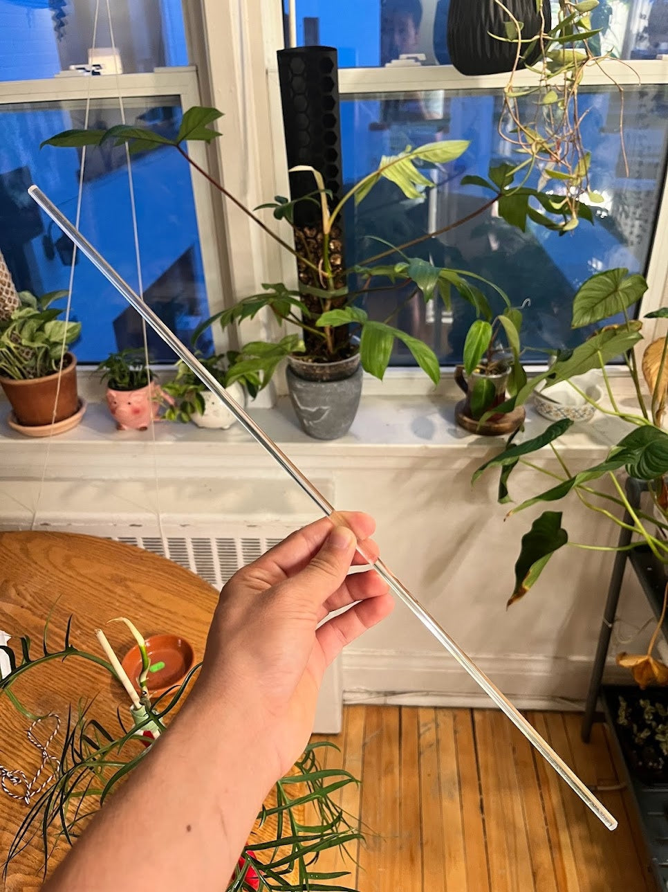 U- Shaped Clear Trellis , Hoya Trellis, Indoor Plant Trellis, Houseplant Trellis, Plant Gift, Plant Support and Growth