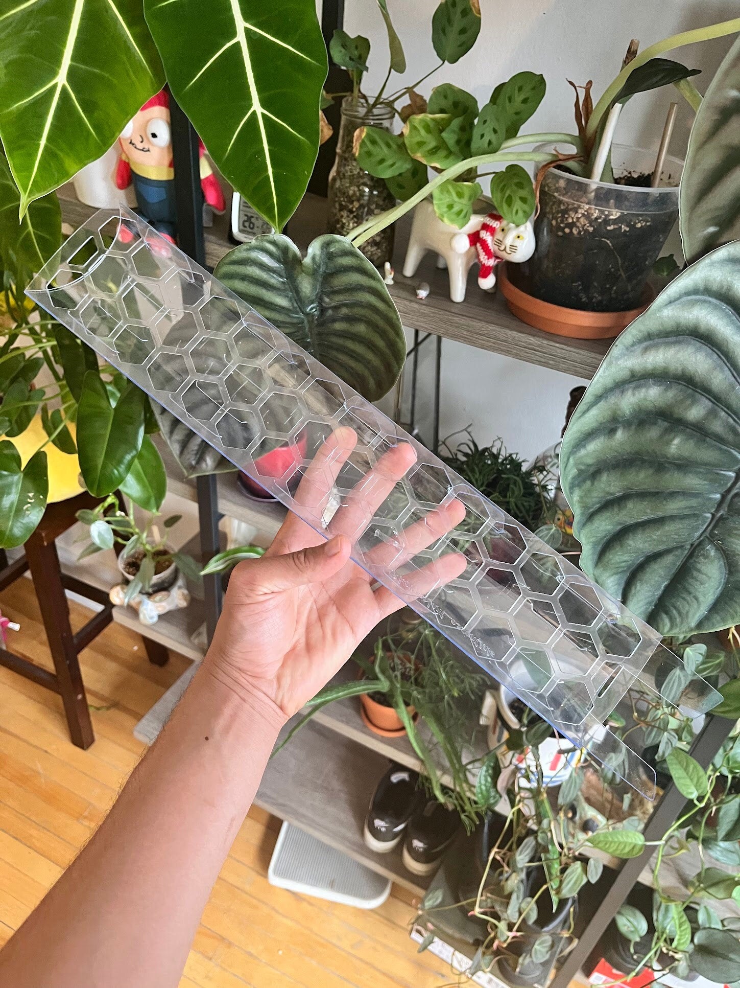 moss pole indoor plants Super Clear Stackable D-Shaped Moss Pole – Buy – Houseplant Essentials