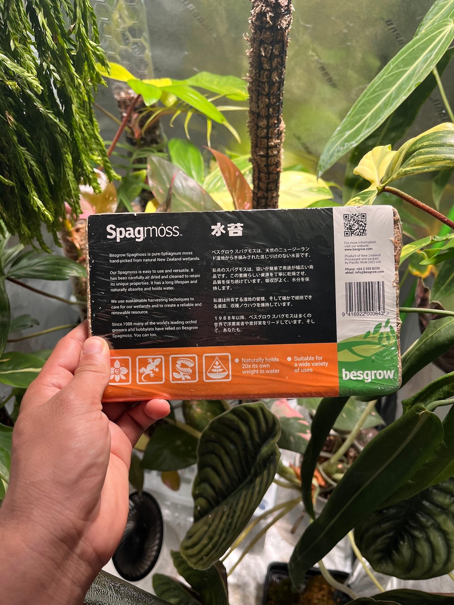 New Zealand AAA compressed Spagmoss 100g / 8L, 150g/ 12 L , 1Kg/ 80L