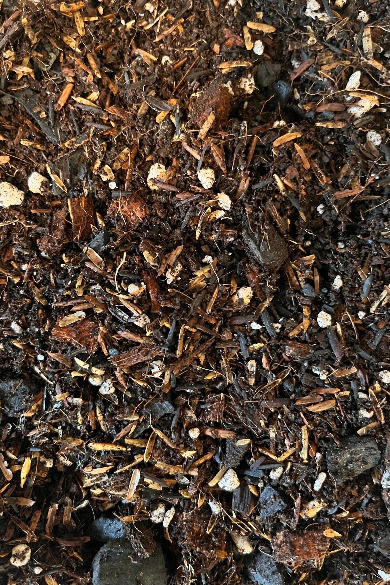 Tropical Aroid Houseplant Chunky Mix 3 Liters