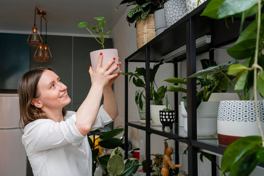 Why a D-Shaped Moss Pole Is the Best Support for Climbing Houseplants ?