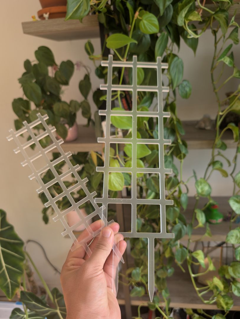 Super Clear Ladder Style trellis