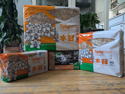 New Zealand AAA compressed Spagmoss Mutiple Sizes