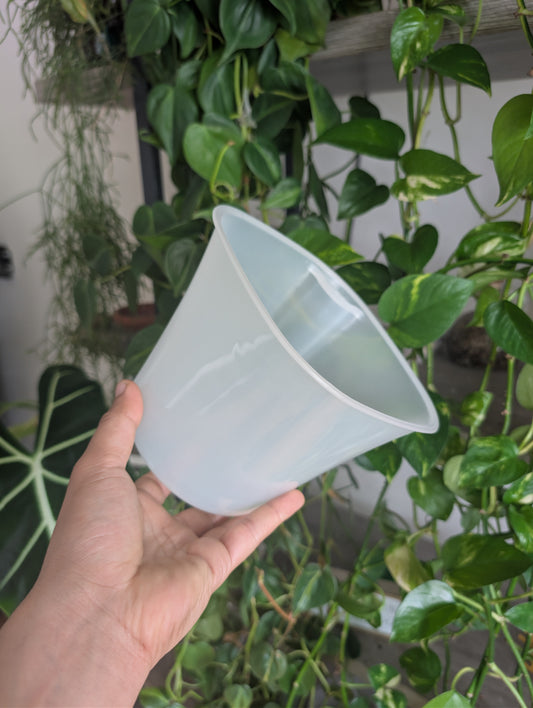 15 Cm clear pot insert