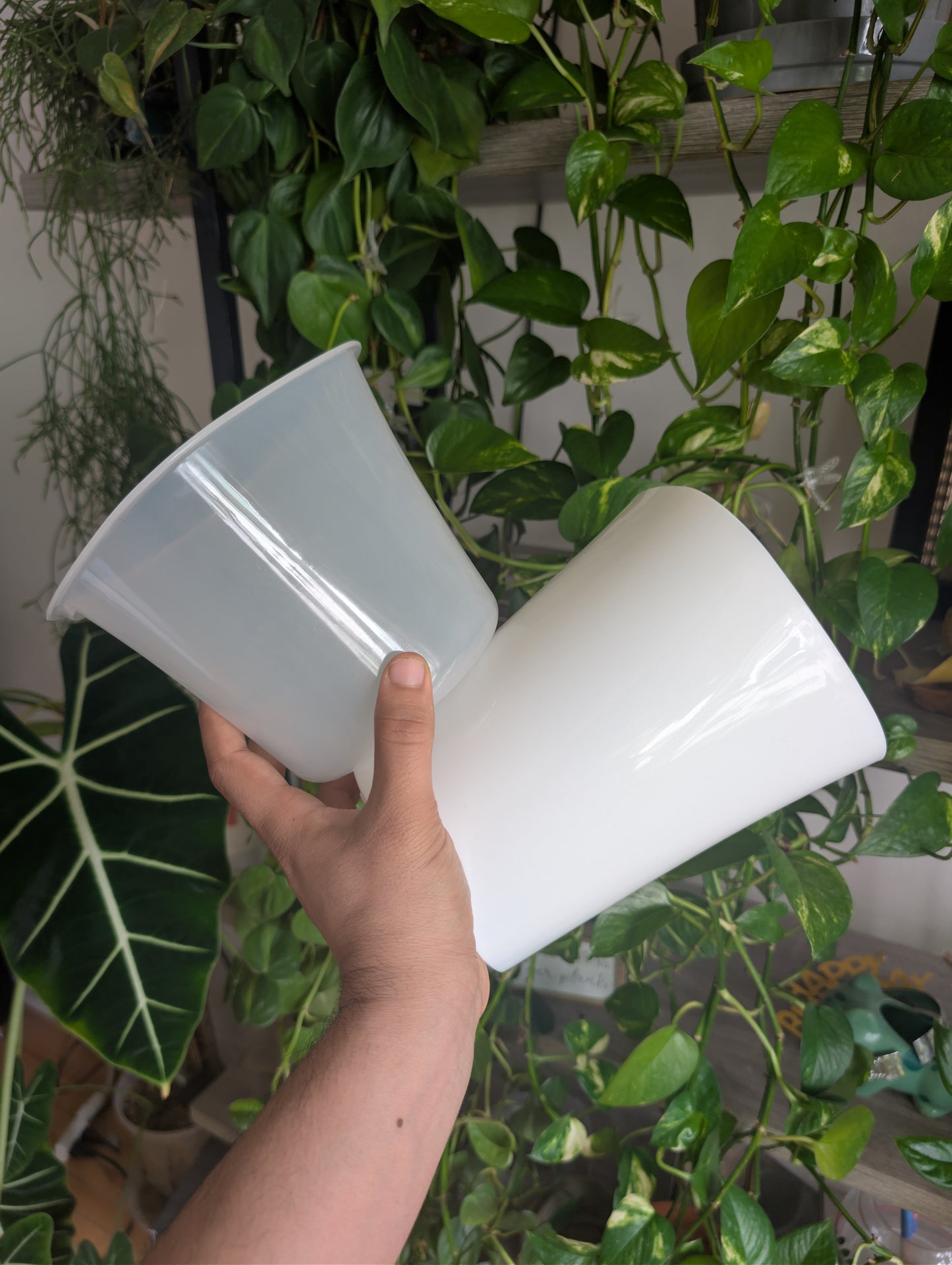 12.5 cm clear pot
