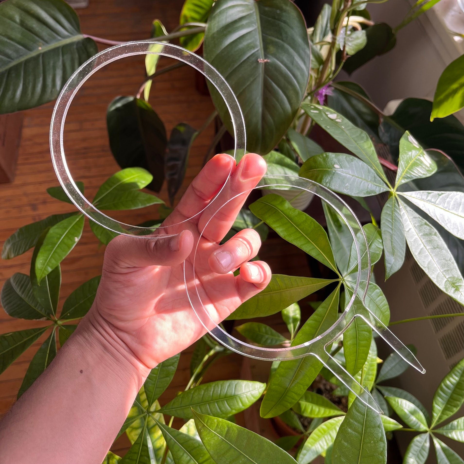 Double Hoop Super Clear Trellis , Hoya Trellis, Indoor Plant Trellis, Houseplant Trellis, Plant Gift, Plant Support and Growth