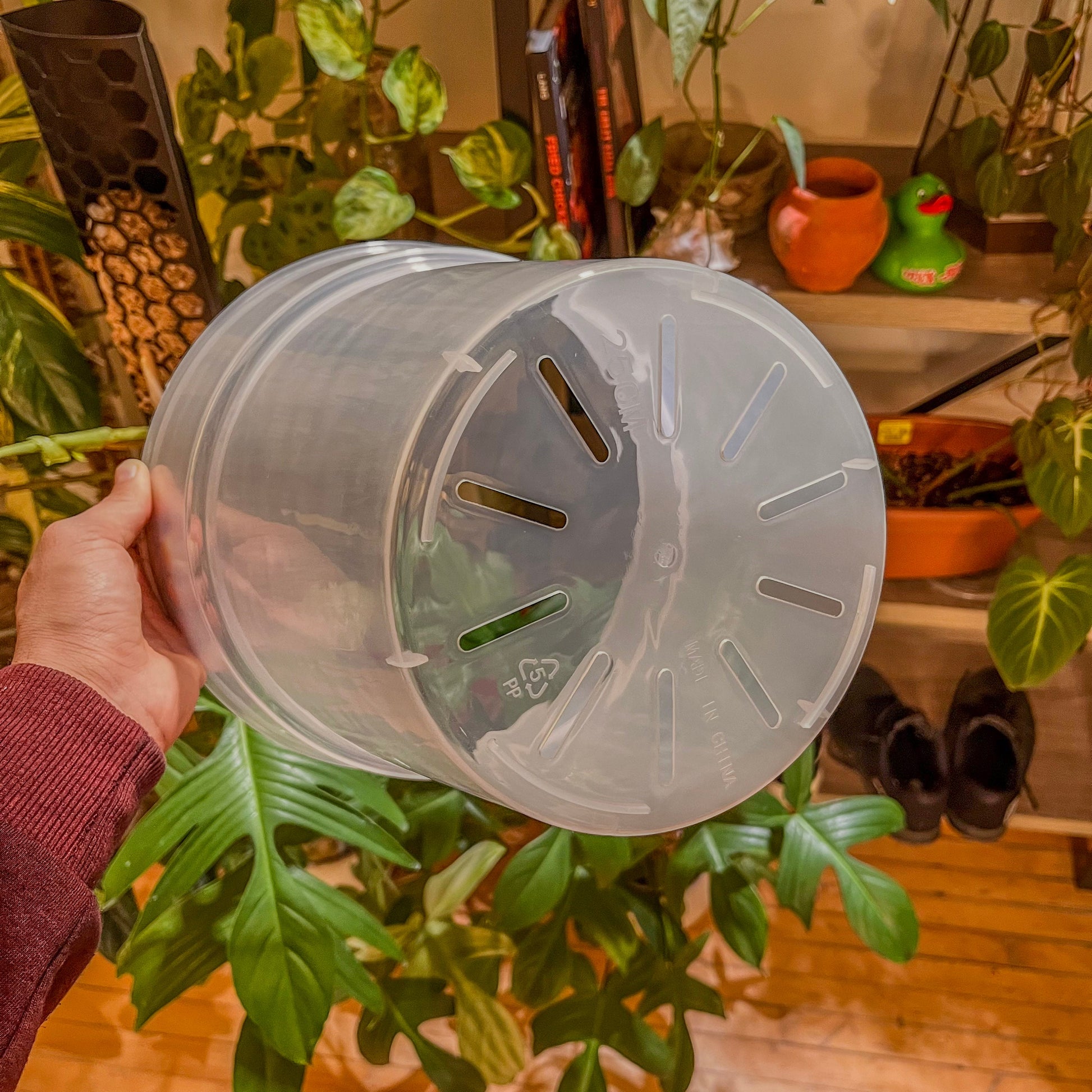 jumbo plant pots Jumbo Clear Plastic Plant Pots – Durable & Sturdy – Houseplant Essentials
