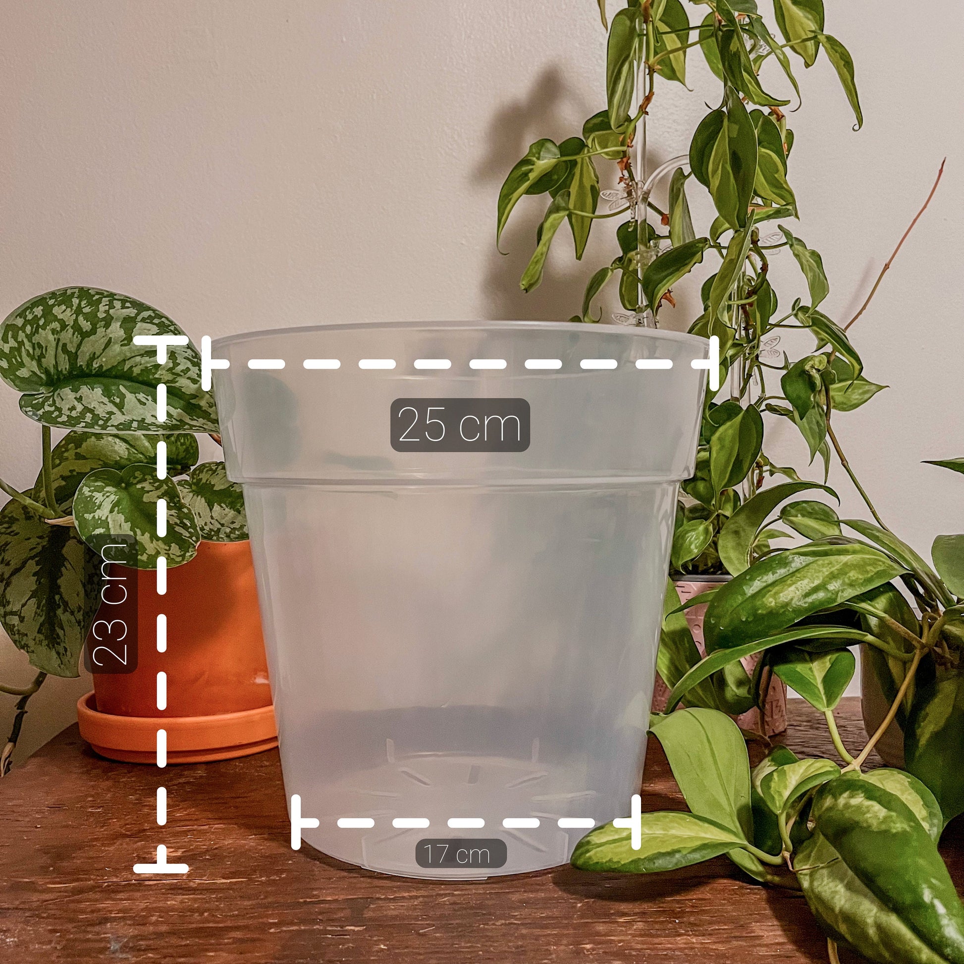 where to buy clear plant pots Jumbo Clear Plastic Plant Pots – Durable & Sturdy – Houseplant Essentials