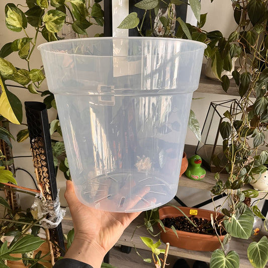 Extra Large Jumbo Clear Plastic Plant Pots for Houseplants, Aroids, Hoyas, Monstera 11.8 Inch/30 CM, Jumbo Pot, Clear Planter with drainage