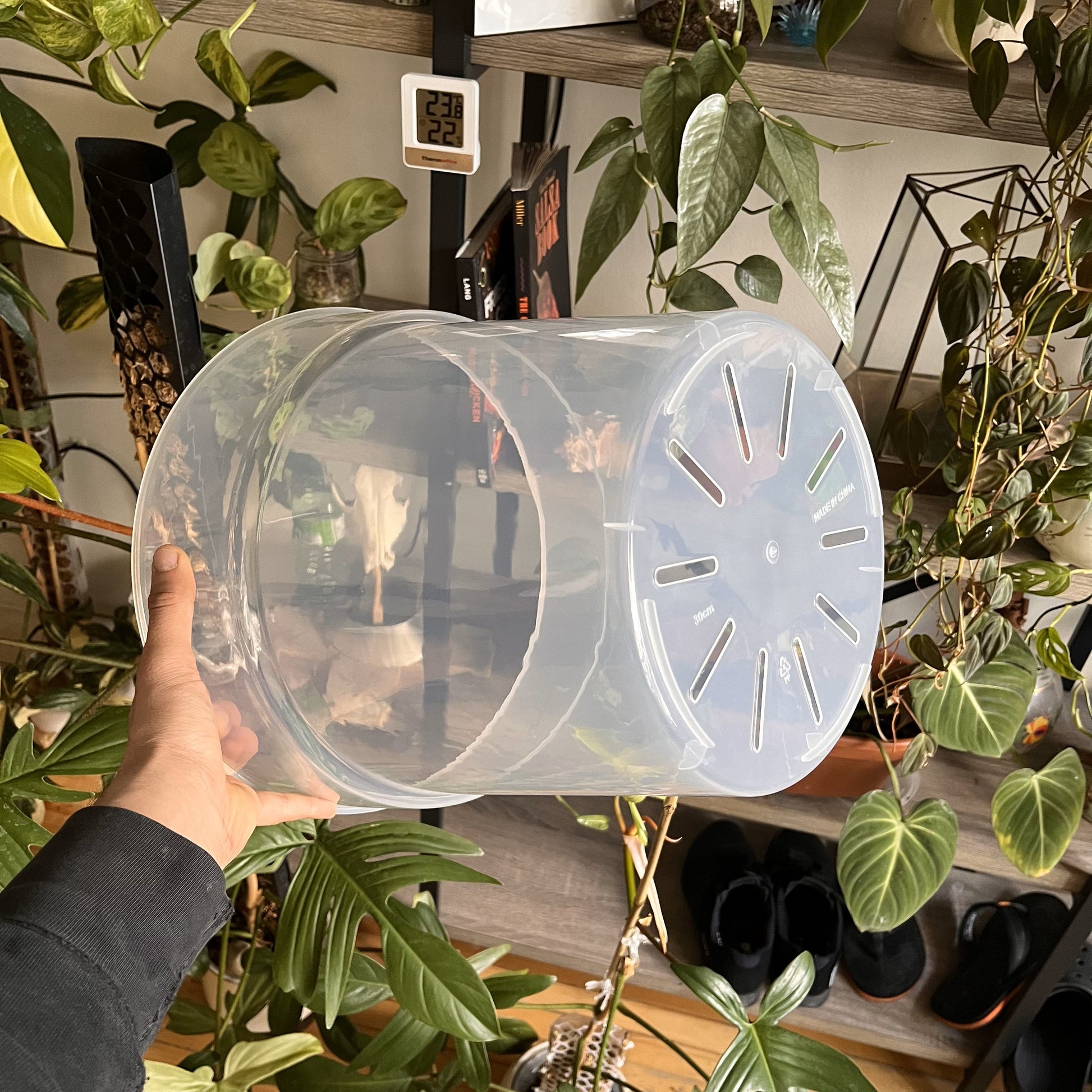 extra large plastic plant pots Extra Large Jumbo Clear Plastic Plant Pot – Buy – Houseplant Essentials