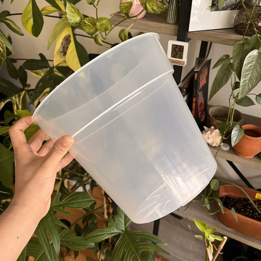 Jumbo Clear Plastic Plant Pots for ,Houseplants, Aroids, Hoyas, Monstera 10 Inch/25 CM, Jumbo Pot, Clear Planter with drainage.