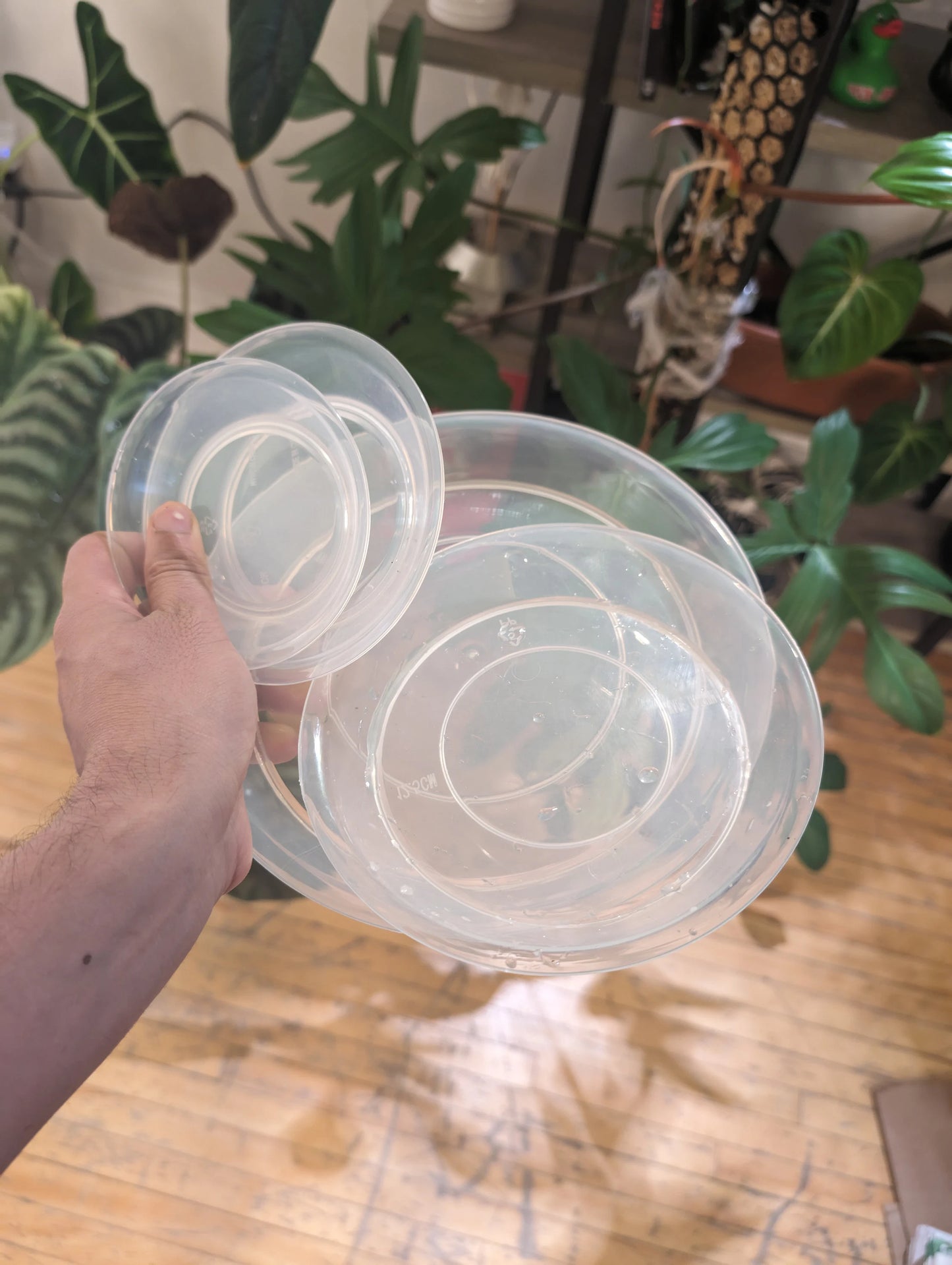 Clear Plant Pot Drainage Trays , Saucers, Drip trays
