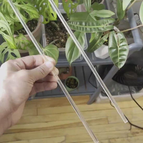 U- Shaped Clear Trellis , Hoya Trellis, Indoor Plant Trellis, Houseplant Trellis, Plant Gift, Plant Support and Growth