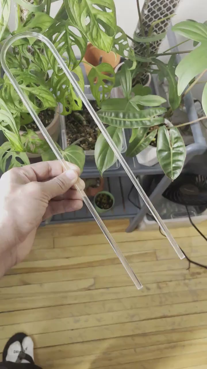 U- Shaped Clear Trellis , Hoya Trellis, Indoor Plant Trellis, Houseplant Trellis, Plant Gift, Plant Support and Growth
