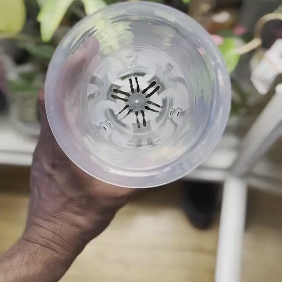 Minimalist plant pot with elegant finish
