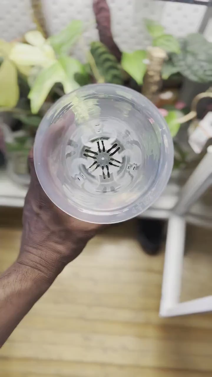 Minimalist plant pot with elegant finish