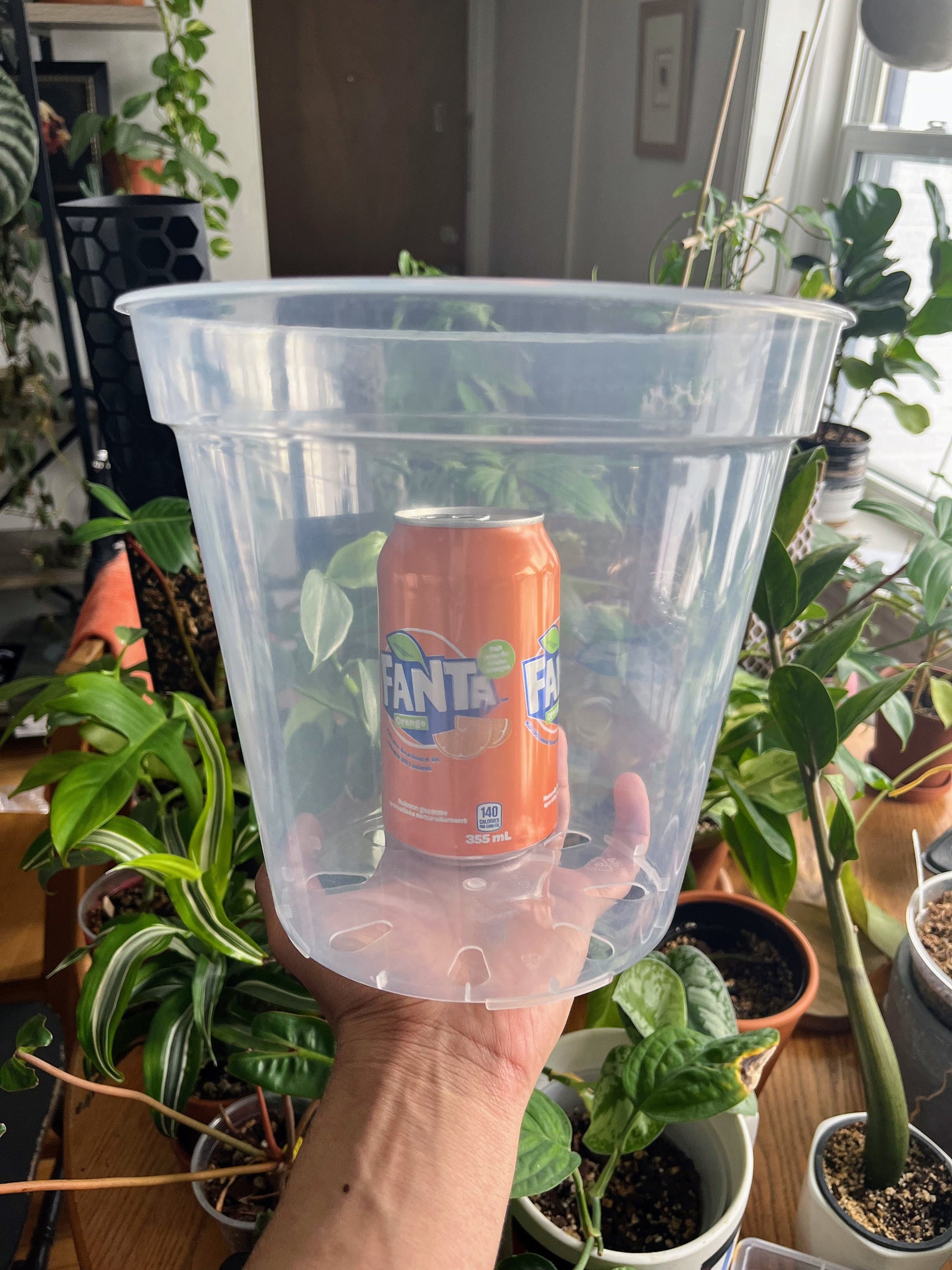 20cm plastic plant pots Clear Plastic Plant Pots – Set of 5 for Sale – Houseplant Essentials