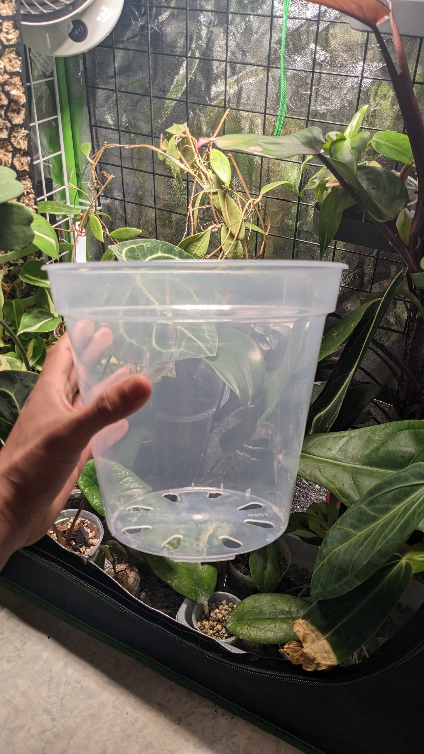 Clear Plastic Plant Pots five pack for ,Houseplants, Aroids, Hoyas, Monstera 8 Inch/20 CM, 9 Inch/22.86