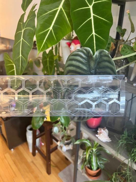 Super Clear Moss Pole D shaped Stackable Multiple Sizes