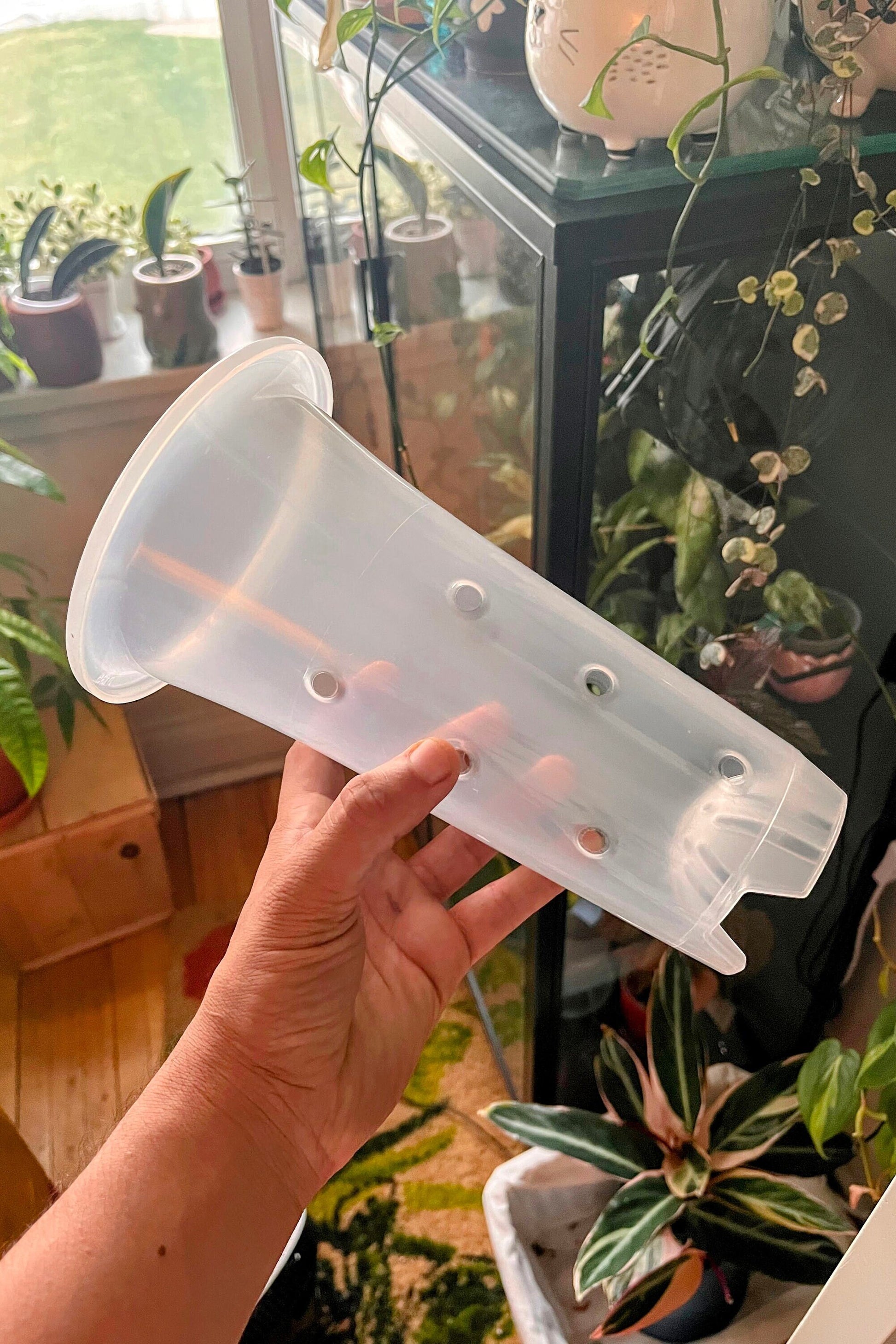 Clear Plastic Extra Tall Plant Pots 5 pack for ,Houseplants, Aroids, Hoyas, Monstera, Orchids