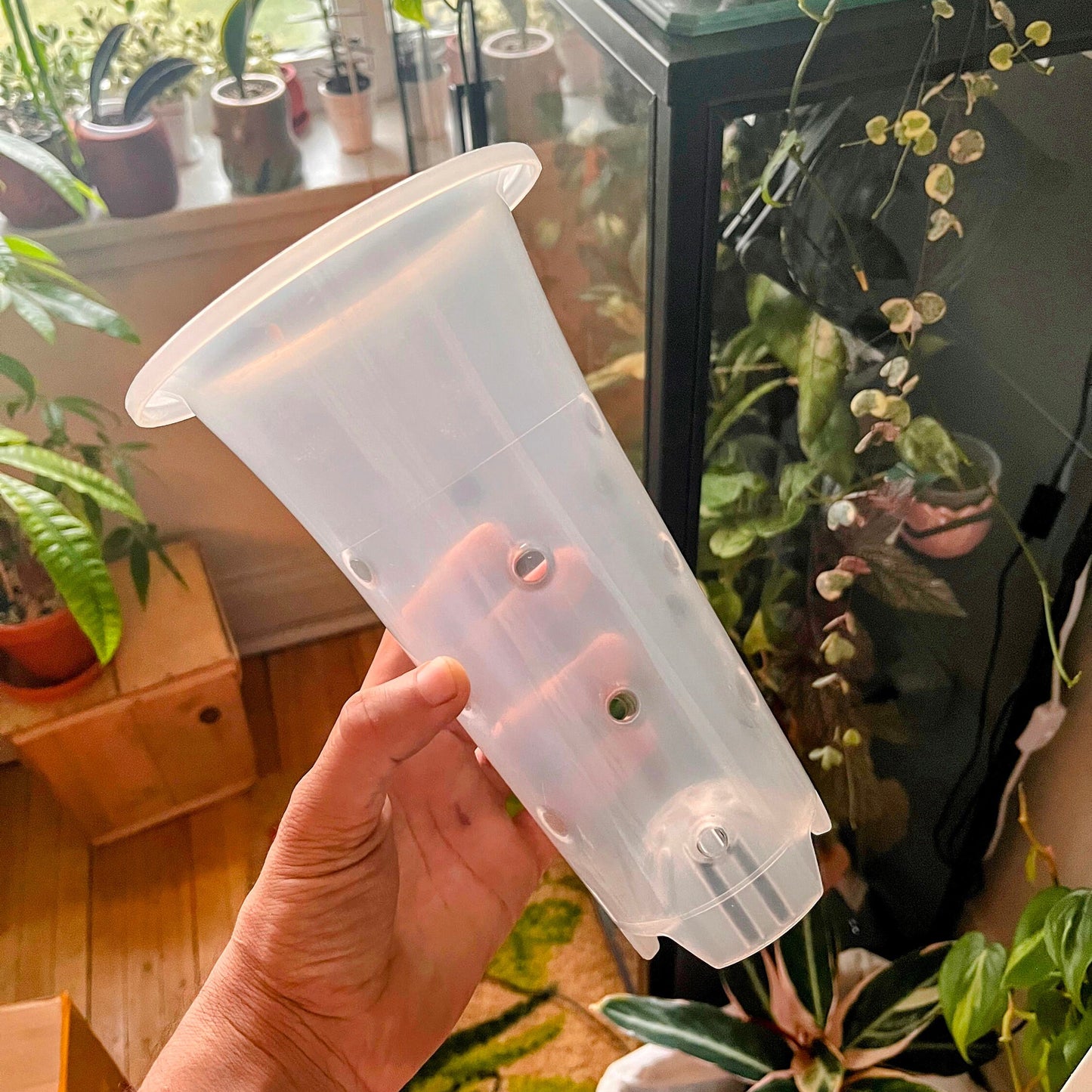 Clear Plastic Extra Tall Plant Pots 5 pack for ,Houseplants, Aroids, Hoyas, Monstera, Orchids