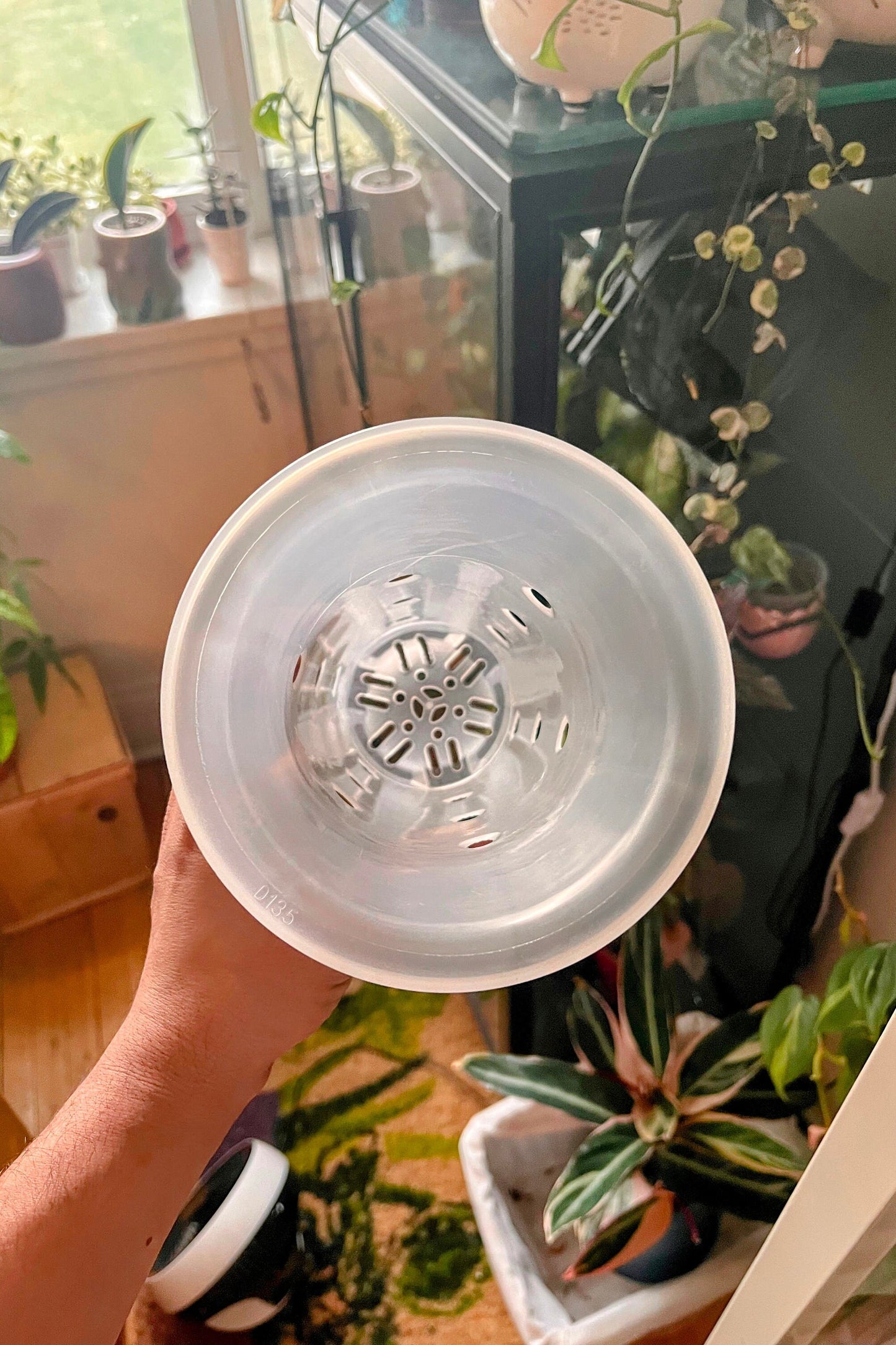 Clear Plastic Extra Tall Plant Pots 5 pack for ,Houseplants, Aroids, Hoyas, Monstera, Orchids